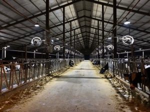 Thi công và lắp đặt quạt thông gió công nghiệp cho trang trại TH True Milk 2020