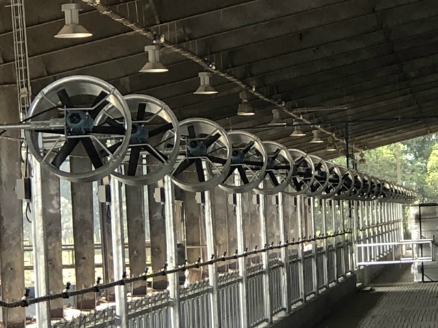 Ứng dụng quạt thông gió công nghiệp trong nhà xưởng, trang trại