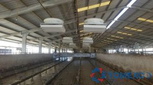 Tomexco lắp đặt Ứng dụng của hệ thống thông gió trang trại