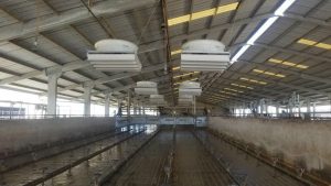 Các sản phẩm quạt trần công nghiệp Tomexco