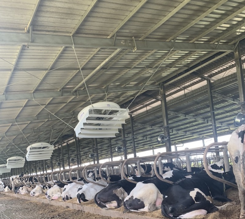 Sản phẩm quạt thông gió công nghiệp bằng nhựa composite