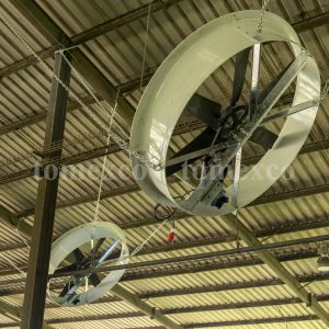 quạt 78 cho trang trại TH