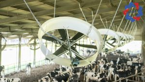 hình ảnh sản phẩm quạt 78