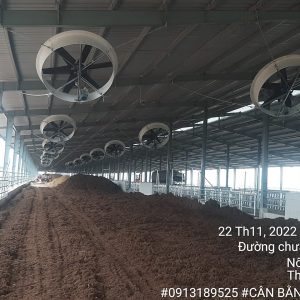 Diện tích trang trại rộng lớn với số quạt công nghiệp được lắp đặt lên tới 2000 quạt