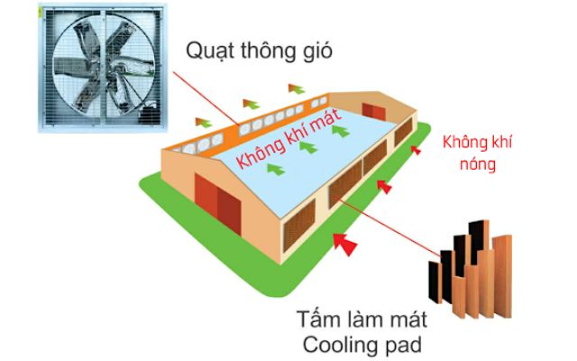 Sơ đồ hệ thống làm mát cooling pad