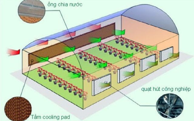 Nguyên lý hoạt động của hệ thống làm mát cooling pad