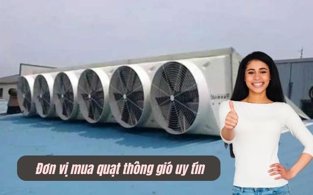 Đơn vị mua quạt thông gió uy tín