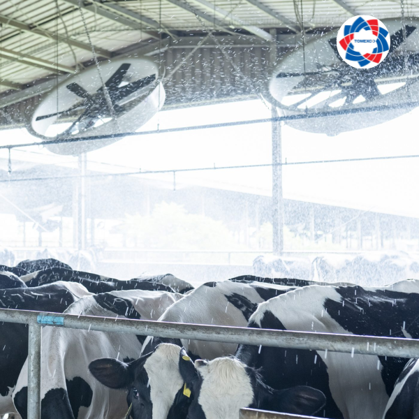 Quạt công nghiệp Tomexco cho trang trại