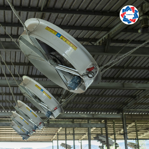 Quạt công nghiệp Tomexco cho trang trại