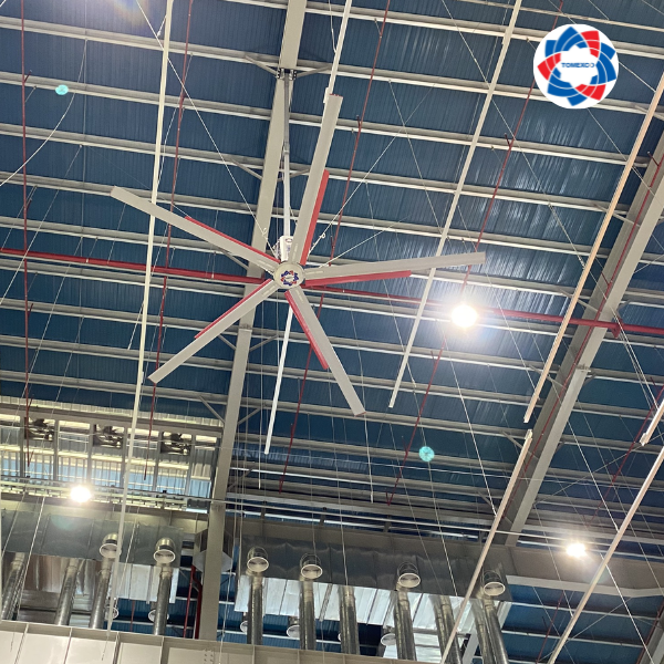 Quạt trần công nghiệp HVLS Tomexco