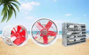 Địa chỉ mua quạt thông gió tốt nhất