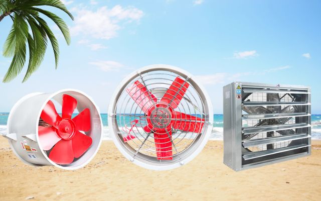 Địa chỉ mua quạt thông gió tốt nhất