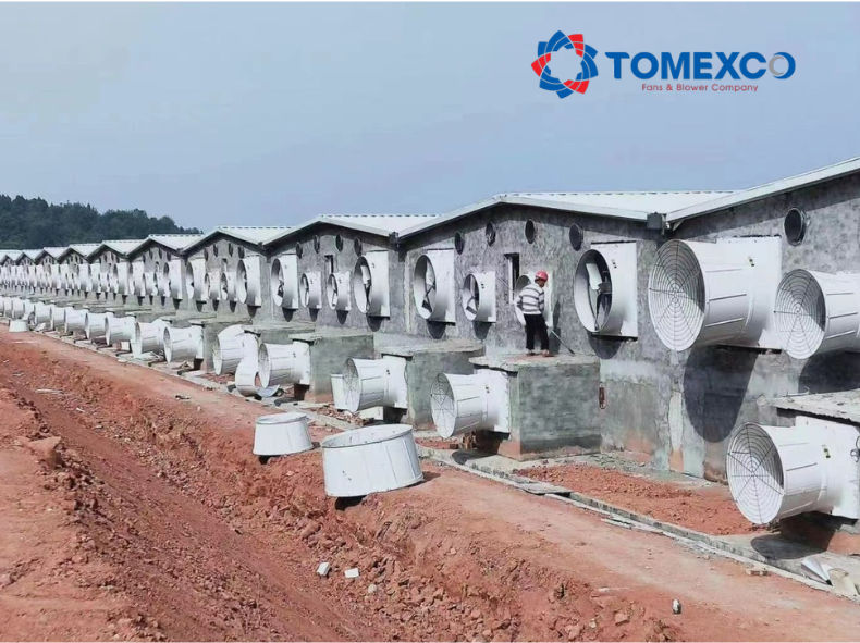 hệ thống xử lý làm mát trang trại heo