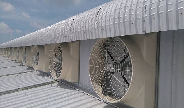 Quạt hút công nghiệp loại nhỏ