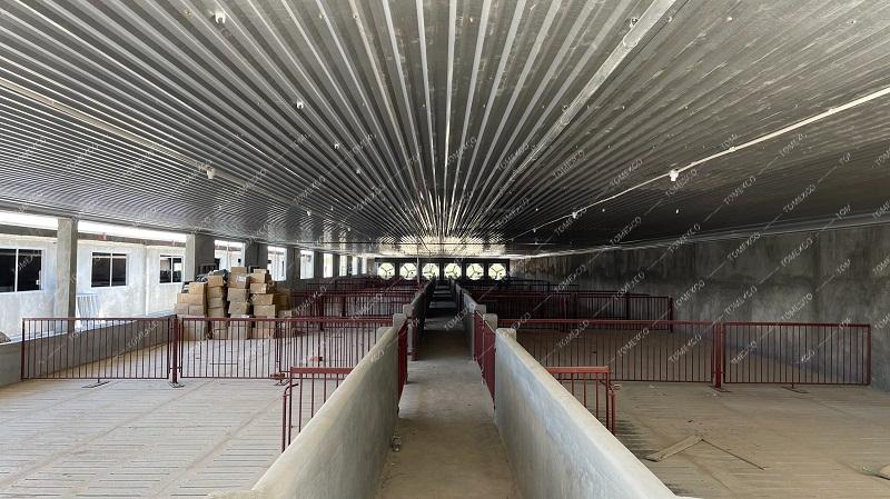 Hoàn thiện lắp đặt quạt thông gió trang trại heo Greenfeed