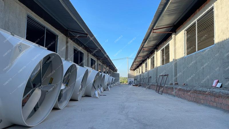 Hoàn thiện lắp đặt quạt thông gió trang trại heo Greenfeed
