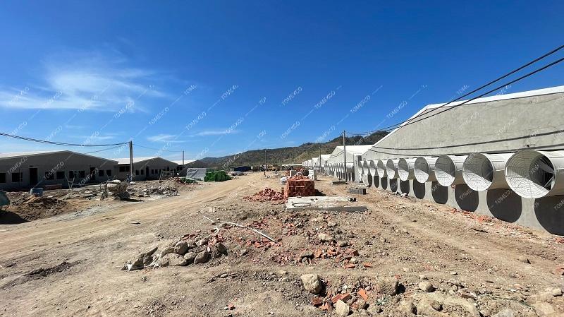 Hoàn thiện lắp đặt quạt thông gió trang trại heo Greenfeed