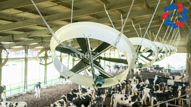 Quạt hướng trục composite 72’’