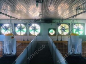 Làm Mát Chuồng Trại Chăn Nuôi Bằng Tấm Cooling Pad – Giải Pháp Hiệu Quả, Tiết Kiệm Năng Lượng