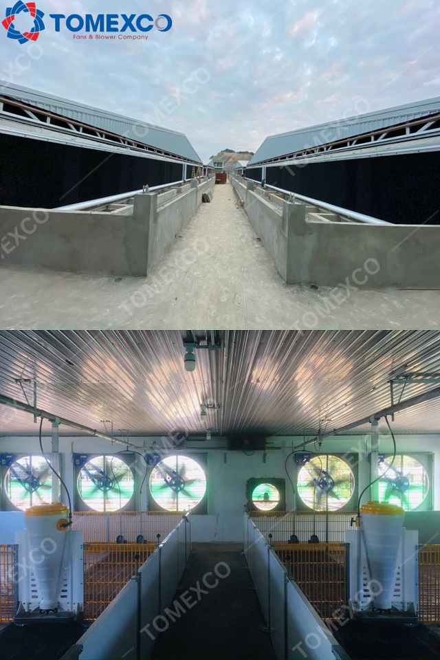 Lợi ích của tấm Cooling Pad trong chăn nuôi