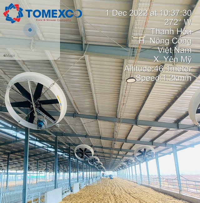 Tomexco lắp đặt quạt hút chuồng gà công nghiệp