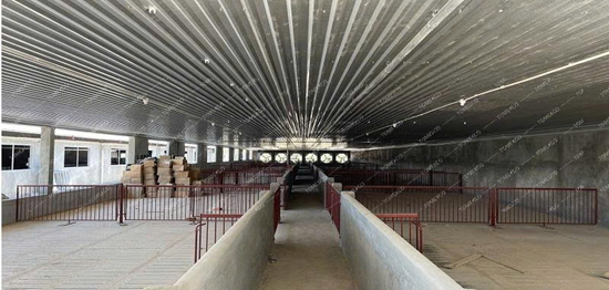 Quạt hút công nghiệp cho chuồng trại