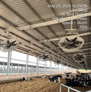 Tomexco đồng hành cùng TH True Milk