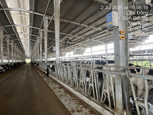 Tomexco đồng hành cùng TH True Milk