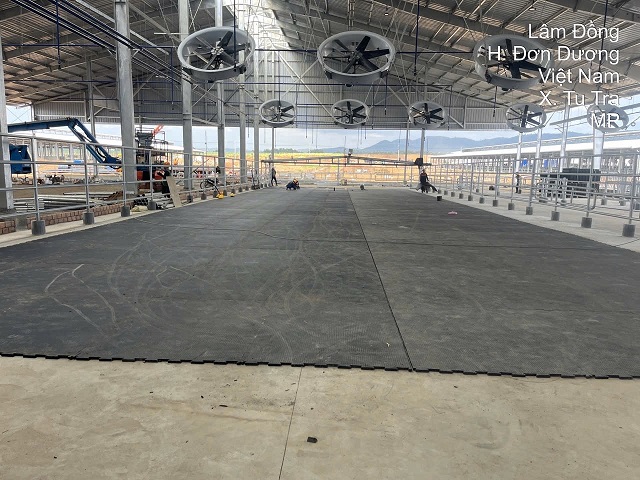 Tomexco đồng hành cùng TH True Milk