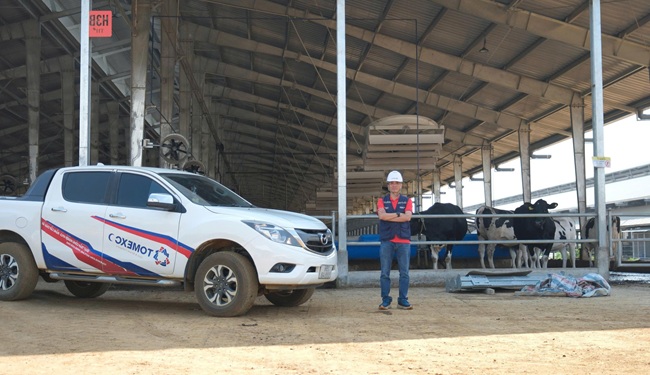 Quạt công nghiệp trang trại bò sữa