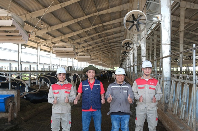 Cam kết từ thương hiệu Tomexco