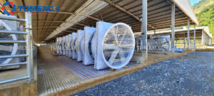 quạt thông gió chuồng trại